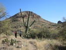 photo thumbnail #3