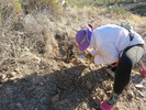 photo thumbnail #5