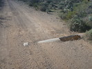photo thumbnail #2