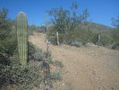 photo thumbnail #6