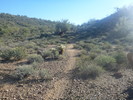 photo thumbnail #8
