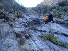 photo thumbnail #1