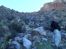 photo thumbnail #2