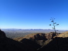 photo thumbnail #3