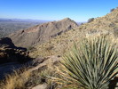 photo thumbnail #7