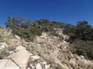 photo thumbnail #12
