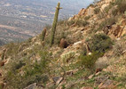 photo thumbnail #2