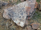 photo thumbnail #4