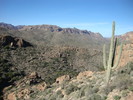 photo thumbnail #2