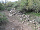 photo thumbnail #5
