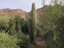 photo thumbnail #7