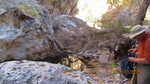 photo thumbnail #9