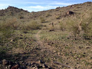 photo thumbnail #10
