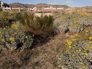 photo thumbnail #15