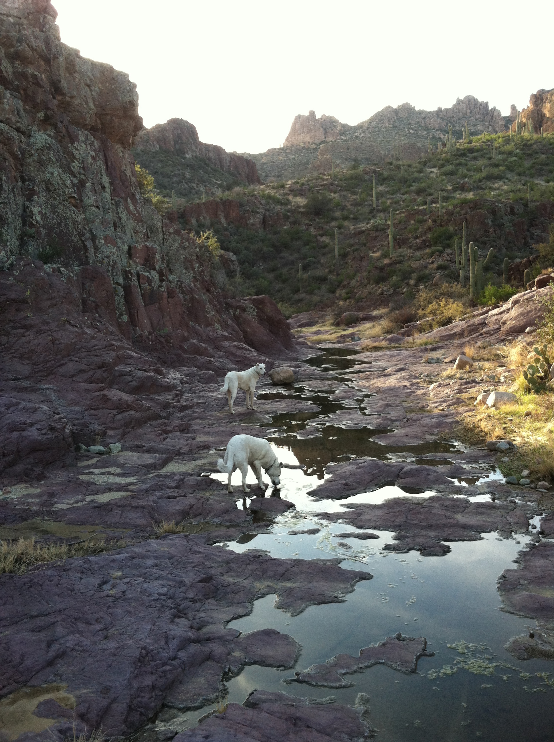 Randolph Canyon, AZ HikeArizona