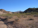 2014-01-05 :2: Davenport Wash Trail #89 :: mazatzal