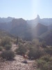 photo thumbnail #7