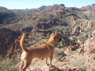 photo thumbnail #13