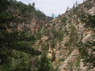photo thumbnail #5