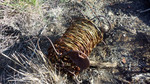 photo thumbnail #2