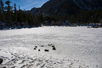 photo thumbnail #9