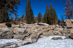 photo thumbnail #10