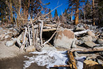 photo thumbnail #12