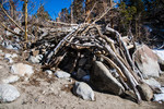photo thumbnail #13