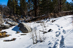 photo thumbnail #14