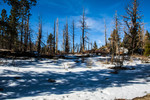 photo thumbnail #15