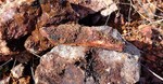 photo thumbnail #7