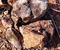 photo thumbnail #8