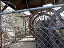 photo thumbnail #13