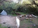 photo thumbnail #8