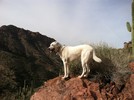 photo thumbnail #10