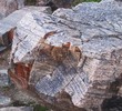 photo thumbnail #6