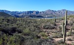 photo thumbnail #4