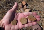photo thumbnail #8