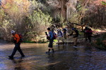 photo thumbnail #9