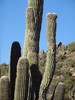 photo thumbnail #1