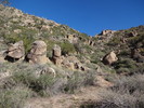 photo thumbnail #14