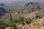 photo thumbnail #9