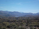 photo thumbnail #6