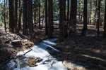 2014-01-03 :2: Valentine Lake Trail :: slegal
