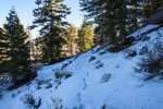 photo thumbnail #5