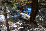 photo thumbnail #8