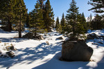 photo thumbnail #9