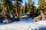 photo thumbnail #10