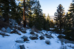 photo thumbnail #11