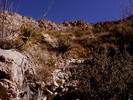 photo thumbnail #14
